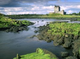 Pulsar Venture Capital запустил акселерационную программу в Ирландии