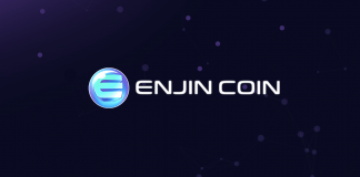 Криптовалюта Enjin coin
