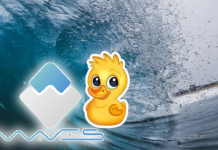 Waves-duck