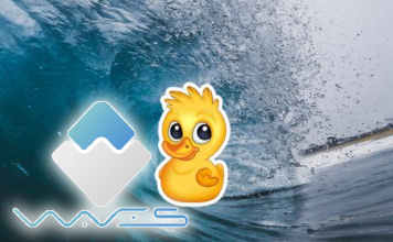 Waves-duck
