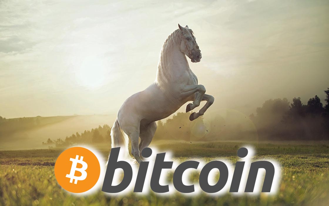 benn btc burbulas bitcoin