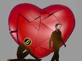 сердце Илона Маска