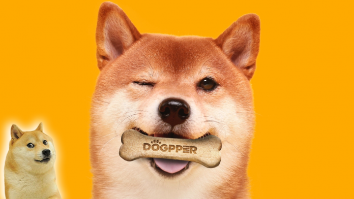 DOGE For Dogs