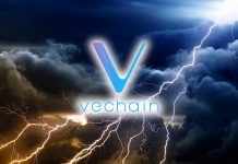 Фонд VeChain