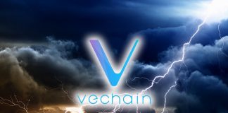 Фонд VeChain