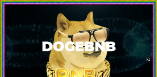 DogeBNB.org
