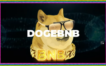 DogeBNB.org