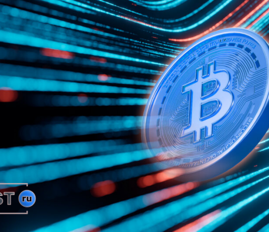 Worldex отзывы