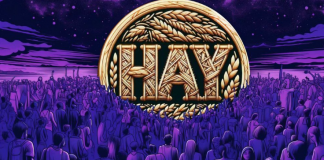 мемкоин HayCoin