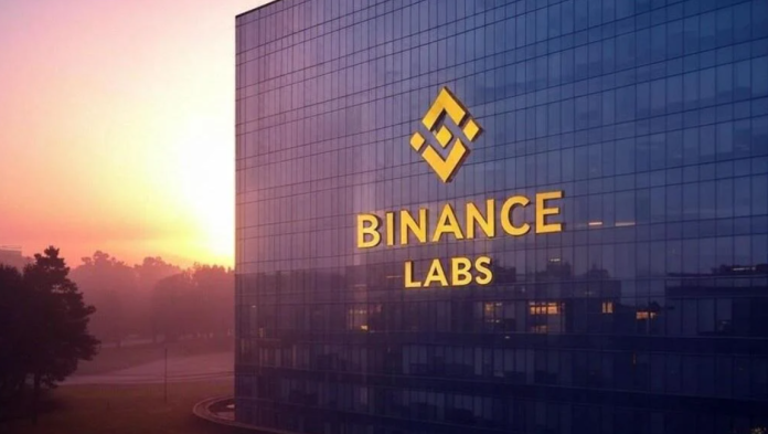 Ребрендинг Binance Labs