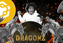 Dragonz Land