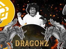Dragonz Land