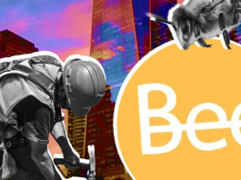 Bee Network