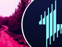 Компания Echelon раскрывает «Путь к TGE» Компания Echelon