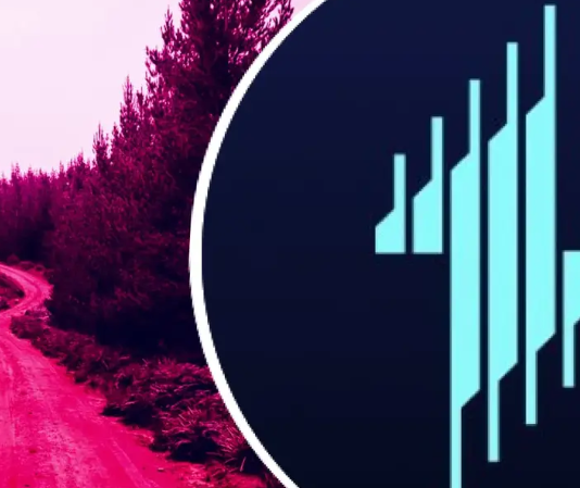 Компания Echelon раскрывает «Путь к TGE» Компания Echelon