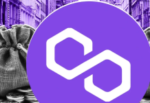 Компания Polygon