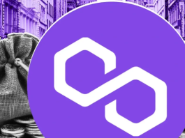 Компания Polygon