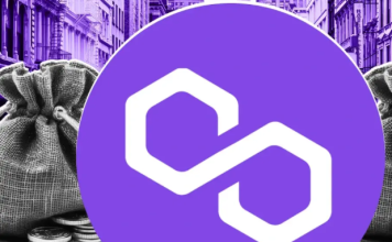 Компания Polygon