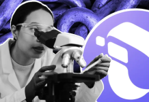 Компания InterLink