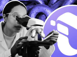 Компания InterLink представила протокол для бизнеса Компания InterLink