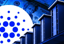 Киты Cardano накапливают ADA: чего ждать? киты Cardano