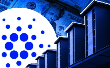 киты Cardano