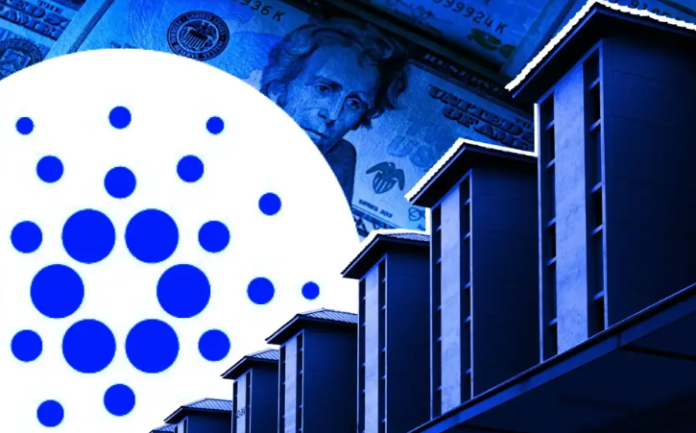 1-Cardano-Whales киты Cardano