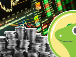 Отчет CoinGecko